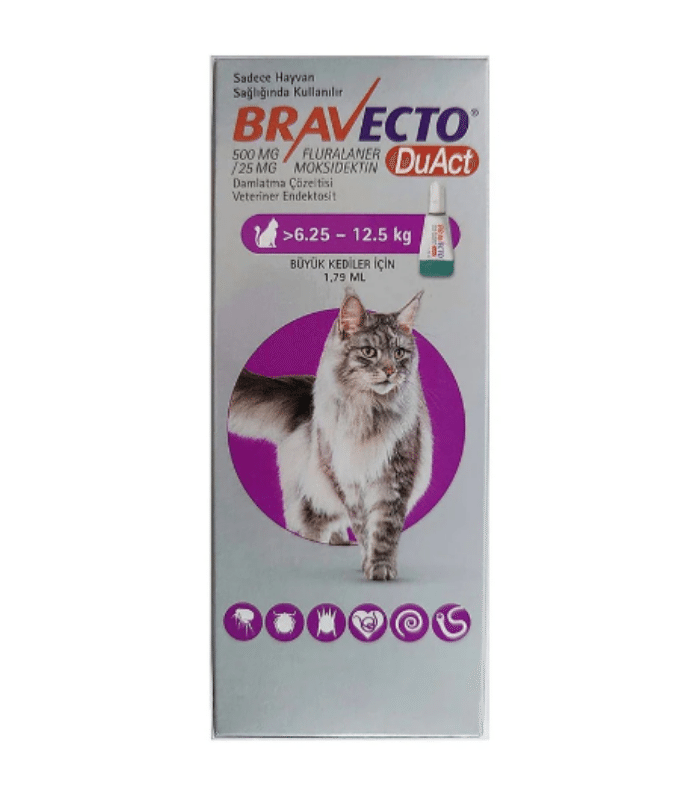 Bravecto DuAct Kedi Damlatma Çözeltisi 1 Pipet, 1,79 ml (6,25–12,5 kg)